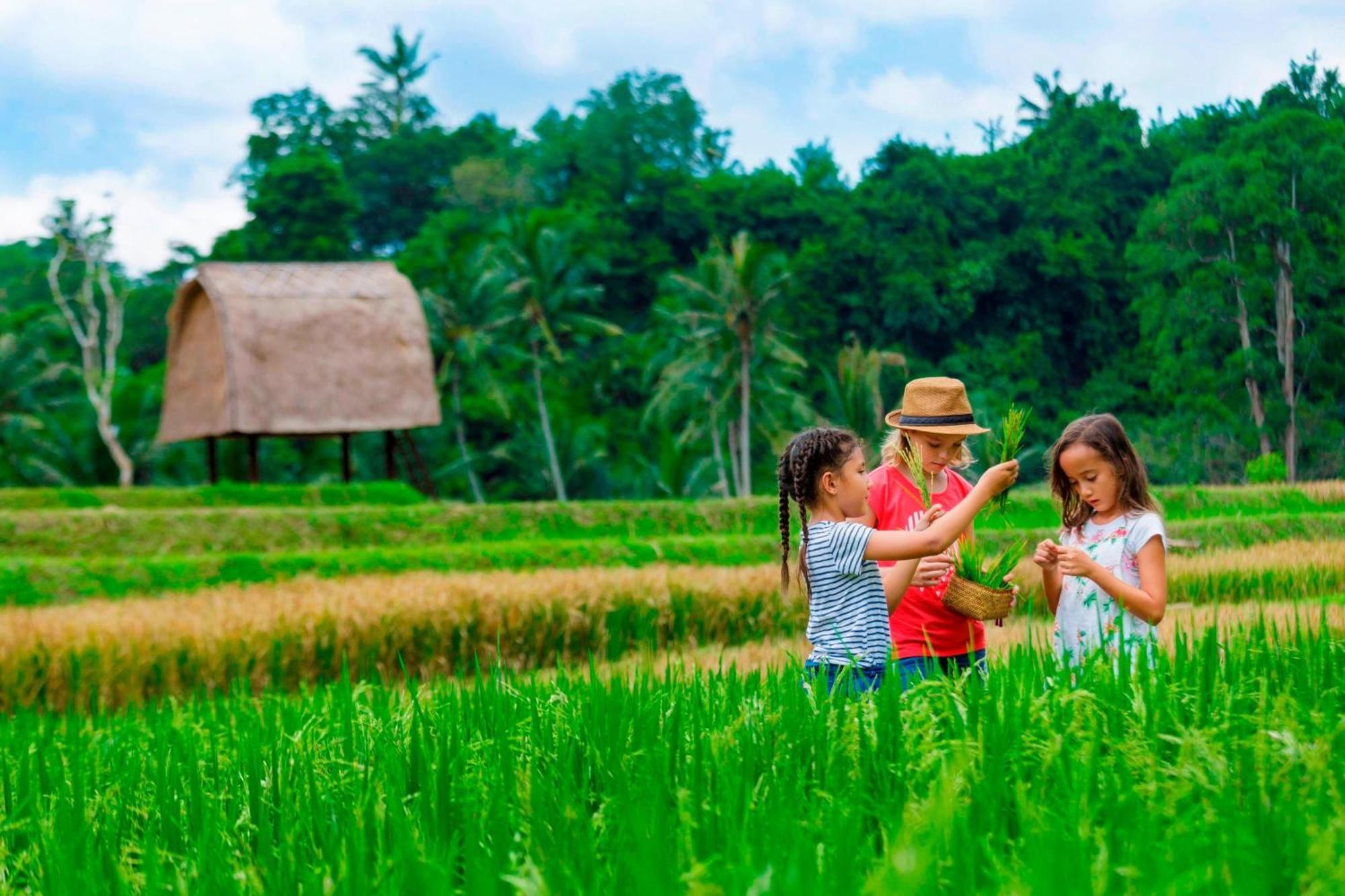 Station touristique Mandapa, A Ritz-carlton Reserve Ubud